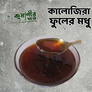 Black Cumin Honey